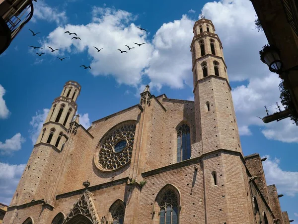 バルセロナで最も有名な建物のローアングルショットサンタ マリア マル大聖堂 — ストック写真