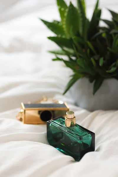 Een Close Van Sappige Planten Witte Pot Parfums Bed — Stockfoto
