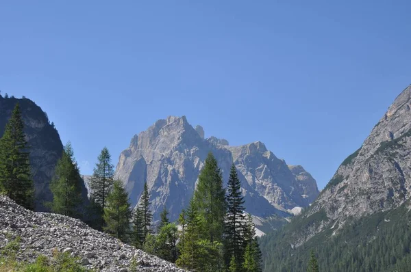 Duże Góry Skalistymi Szczytami Alp Otoczone Zielonymi Drzewami Tle Błękitnego — Zdjęcie stockowe