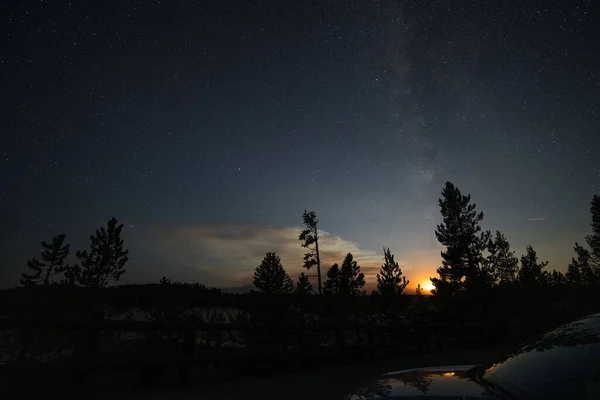 Захоплюючий Вид Захід Сонця Силуетом Дерев Під Зоряним Небом — стокове фото