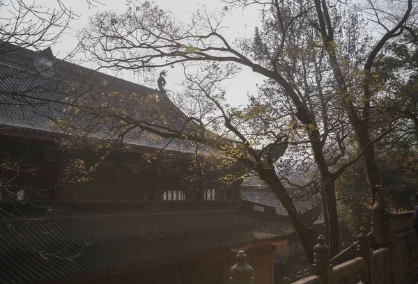 通过无叶树的枝条看到的美丽的中国庙宇 — 图库照片