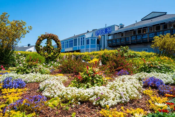 stock image A gorgeous garden with vibrant flowers under a bright sky in Pier 39, San Francisco