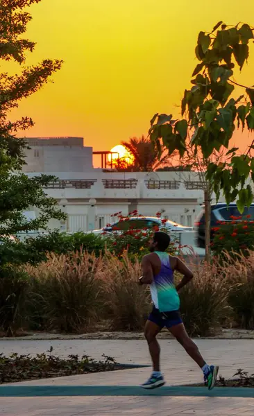Ett Vertikalt Skott Löpare Som Tränar Park Vid Solnedgången — Stockfoto