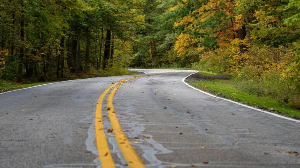 Droga Otoczona Jesiennymi Drzewami Pomarańczowymi Zielonymi Liśćmi — Zdjęcie stockowe