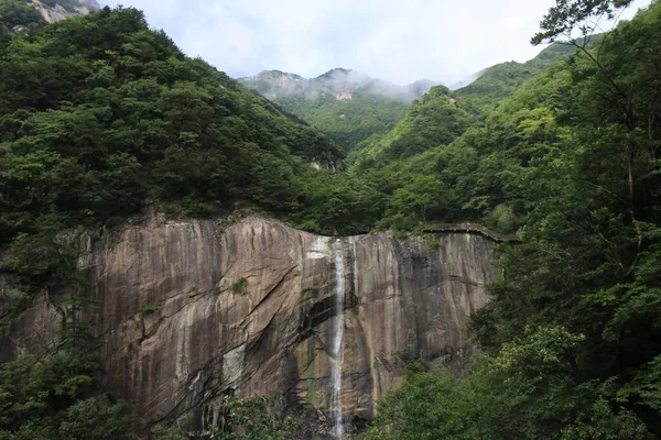 緑の森の中の丘から流れる滝の息をのむようなショット — ストック写真