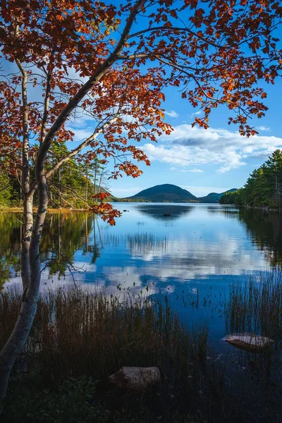 Ein Malerischer Herbstsee Mit Spiegelungen Acadia Nationalpark — Stockfoto