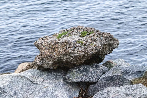 Eine Nahaufnahme Der Steine Der Nähe Des Schönen Meeres Einem — Stockfoto