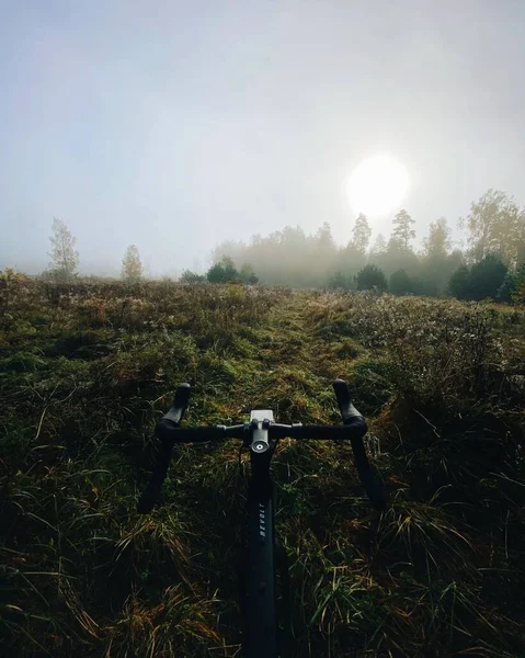 Ein Fahrrad Auf Der Grünen Wiese — Stockfoto