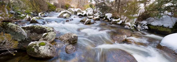 Arroyo Que Corre Través Bosque Lleno Rocas Invierno — Foto de Stock