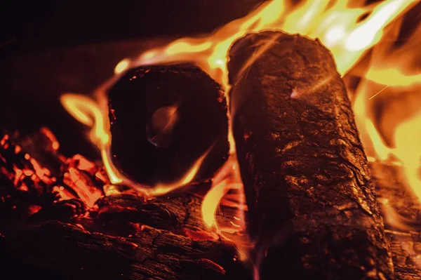 燃烧着的树枝的微型特写镜头 用来点燃篝火 — 图库照片