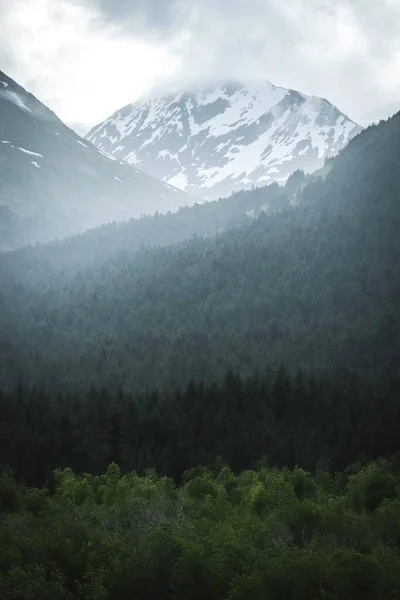 Vertikální Záběr Zelených Lesů Proti Zasněženým Horám Mlze — Stock fotografie