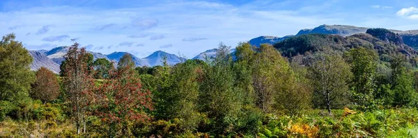 Wasdale Arka Planında Güzel Dağlar Olan Yemyeşil Ağaçların Manzarası — Stok fotoğraf
