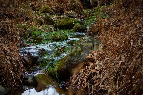 Een Beek Met Helder Water Stroomt Een Rotsachtige Kloof Herfst — Stockfoto