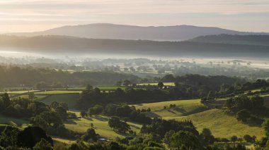 Gölgelerle dolu sisli bir sabah, Shropshire, İngiltere