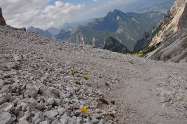 Dağlık bir bölgenin güzel bir görüntüsü ve taşların arasında Konfederasyon sarı papatyaları (Helianthus porteri)