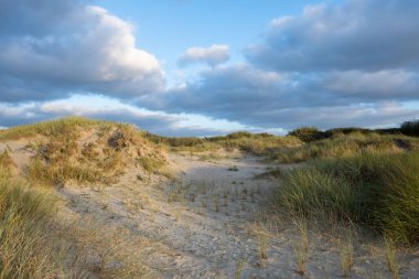 Dağlık bir manzaranın güzel bir manzarası