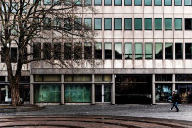 Danimarka 'da Kopenhag şehir merkezindeki büyük ve modern bir binaya karşı büyük yapraksız bir ağaç.
