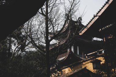 Yapraksız bir ağacın dallarının arasından görünen manzaralı bir Çin tapınağı.