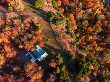 Bir evi çevreleyen güzel sonbahar ağaçlarının insansız hava aracı görüntüleri.