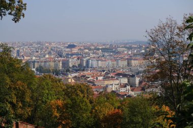 Çek Cumhuriyeti Prag 'daki Strahov Parkı' nın güzel bir manzarası.