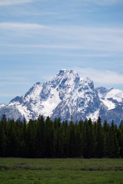 Moran Dağı 'nın güzel karlı zirvesi ve Wyoming' in çevresindeki manzaranın dikey görüntüsü.