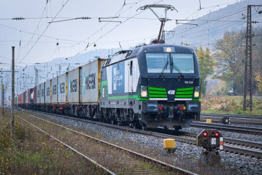 Ağaçlarla çevrili demiryolunda bir tren.