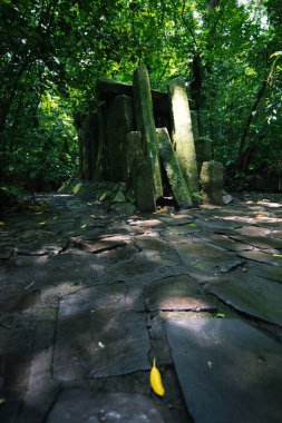 Ekolojik Rezerv Nanciyaga 'daki büyük taşların yakın çekimi.