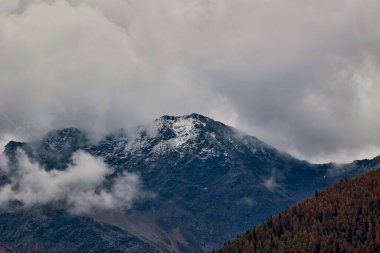 Yoğun ağaçlarla çevrili dağ manzarası.