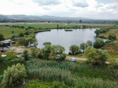 Ağaçlar ve otlarla çevrili bir göletin havadan görünüşü