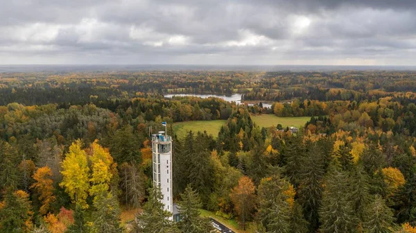 Een Drone Shot Van Suur Munamagi Tower Haanja Estland Omgeven — Stockfoto