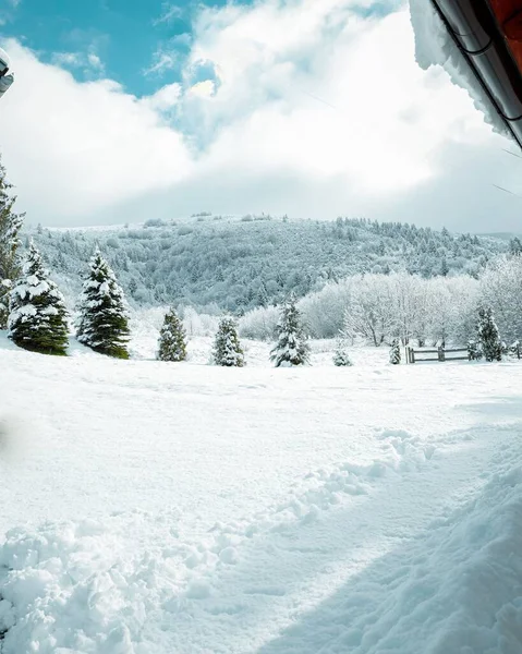 상록수로 뒤덮인 언덕을 두꺼운 눈덮인 수직의 — 스톡 사진