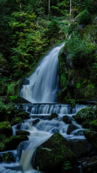 Vertical Long Exposure View Scenic Triberg Waterfall Surrounded Vegetation Germany — Stock Photo, Image