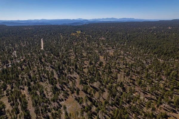 米国アリゾナ州の国有林の空中ドローン撮影 — ストック写真