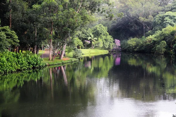 Uma Foto Panorâmica Rio Fluindo Exuberante Parque Verde São Paulo — Fotografia de Stock