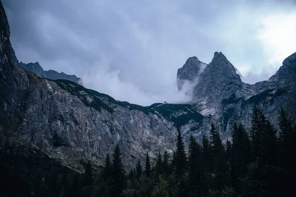Una Vista Del Paisaje Montaña Zugspitze Con Abetos Día Niebla — Foto de Stock
