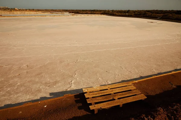 盐渍湿地附近的一块木板 — 图库照片