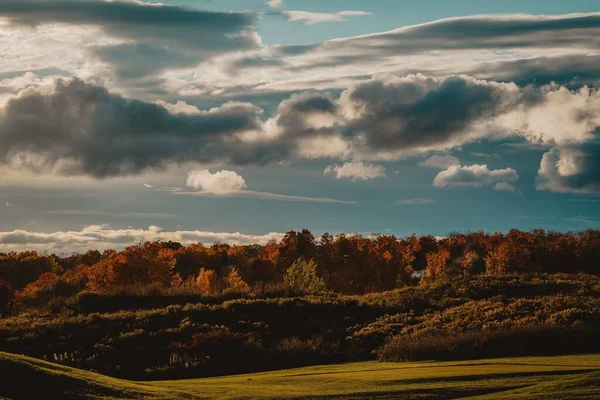 Поле Окруженное Осенними Яркими Деревьями Апельсиновыми Листьями Живописный Облачный День — стоковое фото