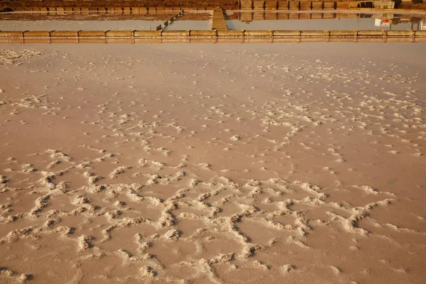 Close Shot Salt Wetlands — Stock Photo, Image