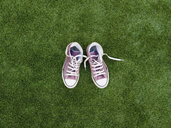Top View Pair Purple Sneakers Lawn — Stock Photo, Image