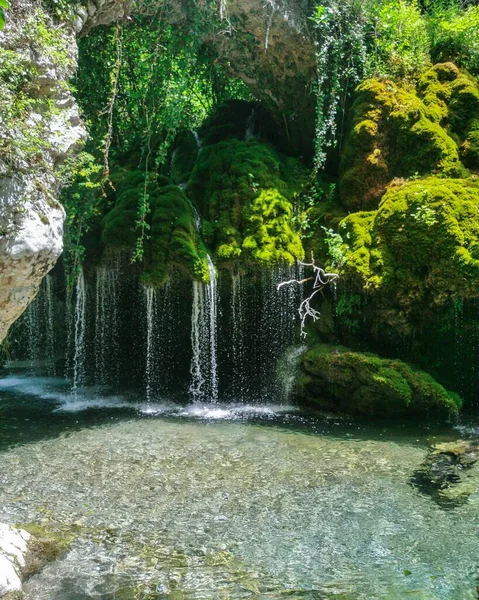 美しい植物と明確な水で滝の美しいシーンの垂直画像フォンタナ カペッロ チレント国立公園 カンパニア州 イタリア — ストック写真