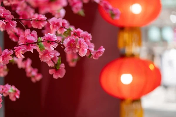 Çin Yeni Yıl Kutlamaları Sırasında Bir Parkı Süsleyen Güzel Pembe — Stok fotoğraf