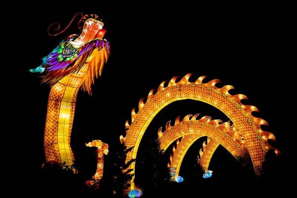 カンザスシティ動物園の息をのむようなグローワイルドナイトイベントで輝く巨大なドラゴン彫刻 — ストック写真