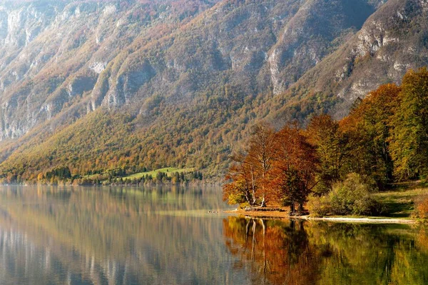 Ένα Γραφικό Τοπίο Στη Λίμνη Bohinj Σλοβενία Φθινόπωρο — Φωτογραφία Αρχείου