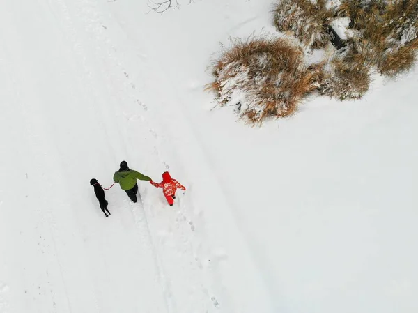 Vista Panorâmica Homem Caminhando Com Seu Filho Cachorro Durante Inverno — Fotografia de Stock