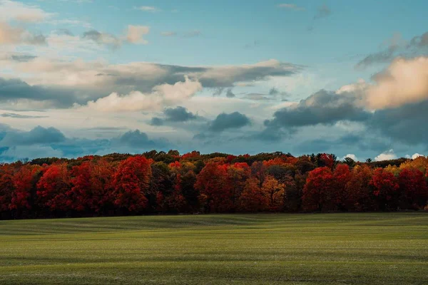 美丽的云天 一片被五彩缤纷的秋天绿叶环绕的田野 — 图库照片