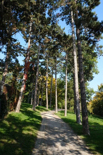 Prag Strahov Park Yemyeşil Ağaçlar Çimlerle Çevrili Güzel Bir Patika — Stok fotoğraf