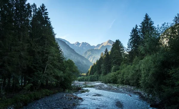 Ein Schöner Blick Auf Einen Fluss Umgeben Von Bäumen Mit — Stockfoto