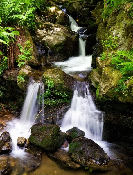 Uma Cachoeira Cênica Uma Floresta — Fotografia de Stock