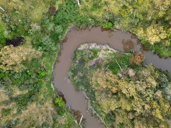 背の高い木や川のクリーム色のフィールドの空中ショット — ストック写真