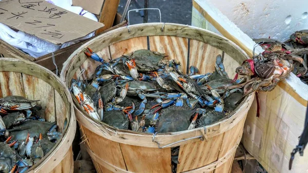 Closeup Crabs Sale China Town Manhattan — Stock Photo, Image